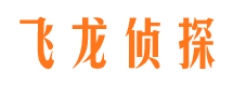 赵县市调查公司